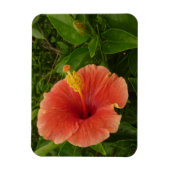 Oranje Hibiscus Bloem Tropische Floral Magneet (Verticaal)