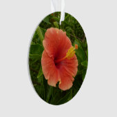Oranje Hibiscus Bloem Tropische Floral Ornament (voorkant)