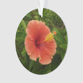 Oranje Hibiscus Bloem Tropische Floral Ornament (voorkant)