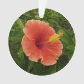 Oranje Hibiscus Bloem Tropische Floral Ornament (voorkant)