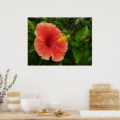 Oranje Hibiscus Bloem Tropische Floral Poster (Keuken)