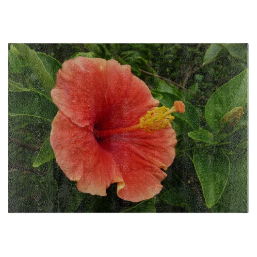 Oranje Hibiscus Bloem Tropische Floral Snijplank (Voorkant)