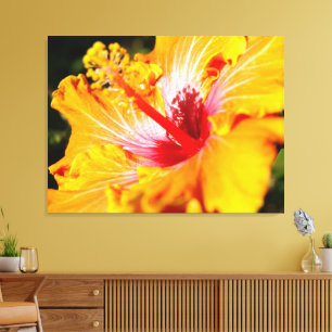 Oranje Hibiscus Bloem Zijaanzicht Canvas Afdruk