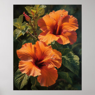 Oranje Hibiscus Bloemen Art Print Poster