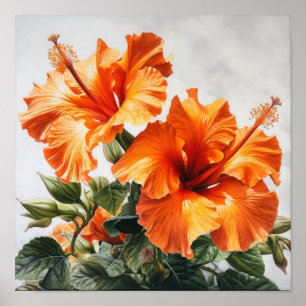 Oranje Hibiscus Bloemenkunst Print Poster