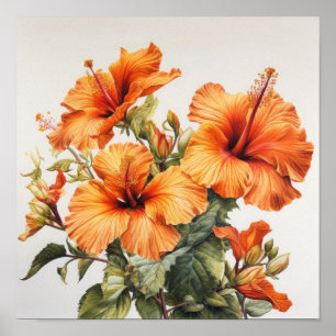 Oranje Hibiscus Bloemenkunst Print Poster