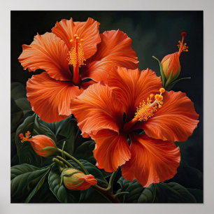 Oranje Hibiscus Bloemenkunst Print Poster