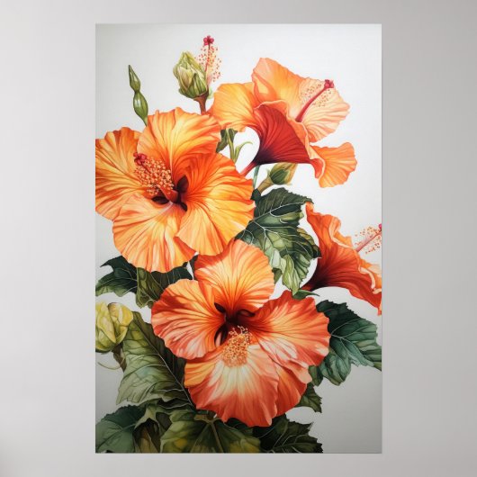 Oranje Hibiscus Bloemenkunst Print Poster (Voorkant)
