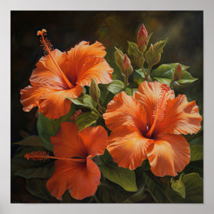 Oranje Hibiscus Bloemenkunst Print Poster