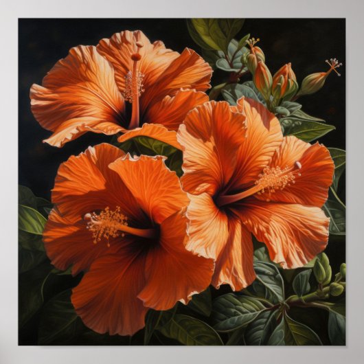 Oranje Hibiscus Bloemenkunst Print Poster (Voorkant)