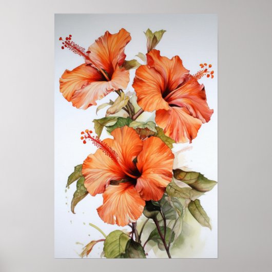 Oranje Hibiscus Bloemenkunst Print Poster (Voorkant)