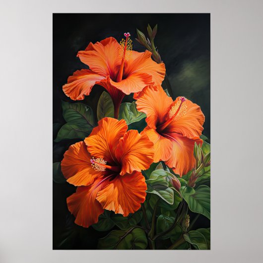 Oranje Hibiscus Bloemenkunst Print Poster (Voorkant)