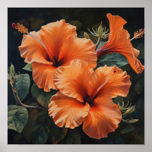 Oranje Hibiscus Bloemenkunst Print Poster (Voorkant)