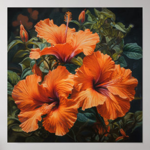 Oranje Hibiscus Bloemenkunst Print Poster