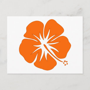 Oranje Hibiscus Briefkaart