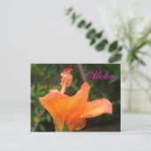 Oranje Hibiscus briefkaart (Staand voorkant)