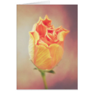 Oranje Hibiscus Flower Bloom Kaart