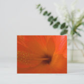 Oranje Hibiscus Flower Briefkaart (Staand voorkant)