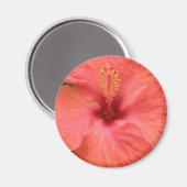 Oranje Hibiscus Flower Macro Magnet (Voorkant / Achterkant)