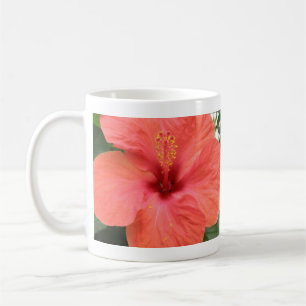 Oranje Hibiscus Flower Macro Mok