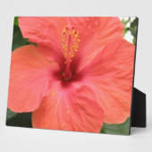 Oranje Hibiscus Flower Macro Plaque Fotoplaat (Zijkant)