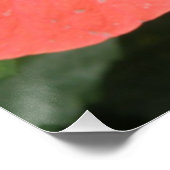 Oranje Hibiscus Flower Macro Poster (Hoek)