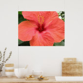 Oranje Hibiscus Flower Macro Print (Keuken)