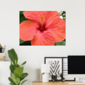 Oranje Hibiscus Flower Macro Print (Thuiskantoor)