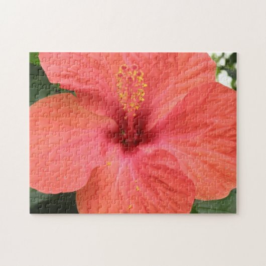 Oranje Hibiscus Flower Macro Puzzle Legpuzzel (Horizontaal)