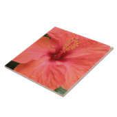 Oranje Hibiscus Flower Macro Tile Tegeltje (Zijkant)