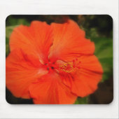 Oranje Hibiscus Flower Mousepad Muismat (Voorkant)