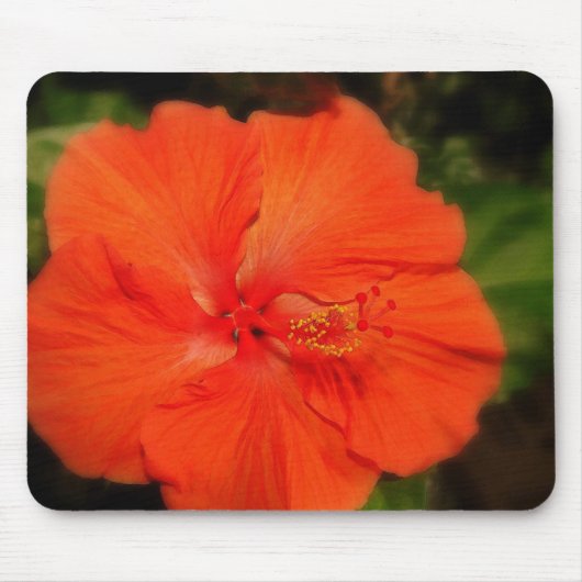 Oranje Hibiscus Flower Mousepad Muismat (Voorkant)