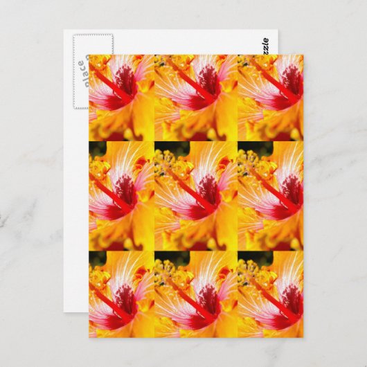 Oranje Hibiscus Flower Side Uitzicht Briefkaart (Voorkant / Achterkant)