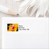 Oranje Hibiscus Flower Side Uitzicht Etiket (Insitu)