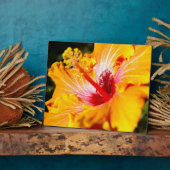 Oranje Hibiscus Flower Side Uitzicht Fotoplaat (Zijkant)