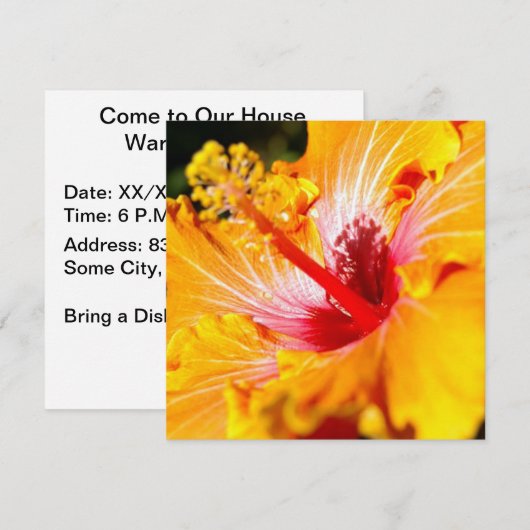 Oranje Hibiscus Flower Side Uitzicht Kaart (Voorkant / Achterkant)