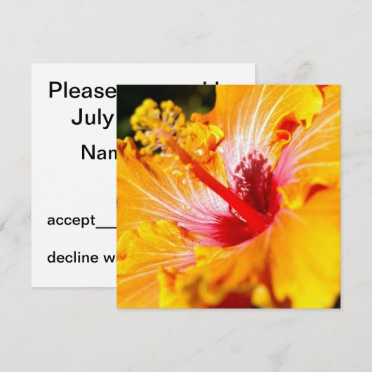 Oranje Hibiscus Flower Side Uitzicht Kaart (Voorkant / Achterkant)