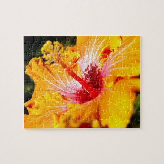 Oranje Hibiscus Flower Side Uitzicht Legpuzzel (Horizontaal)