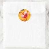 Oranje Hibiscus Flower Side Uitzicht Ronde Sticker (Tas)