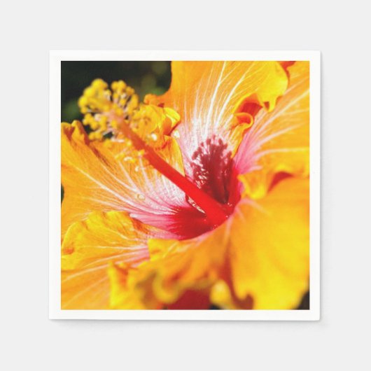 Oranje Hibiscus Flower Side Uitzicht Servetten (Voorkant)