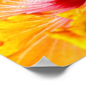 Oranje Hibiscus Flower Side Uitzicht Small Poster (Hoek)