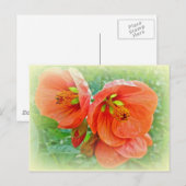 Oranje Hibiscus Flowers Briefkaart (Voorkant / Achterkant)