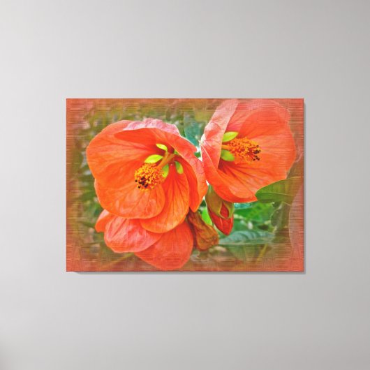 Oranje Hibiscus Flowers Canvas Afdruk (Voorkant)