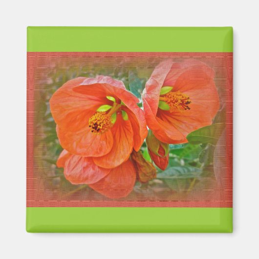 Oranje Hibiscus Flowers Magneet (Voorkant)