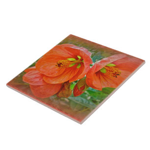 Oranje Hibiscus Flowers Tegeltje