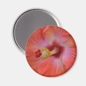 Oranje Hibiscus Magnet (Voorkant / Achterkant)