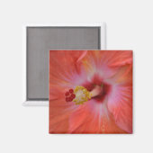 Oranje Hibiscus Magnet (Voorkant / Achterkant)