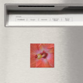Oranje Hibiscus Magnet (Insitu (Vaatwasser))