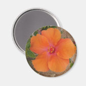 Oranje Hibiscus magnet (Voorkant / Achterkant)