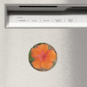Oranje Hibiscus magnet (Insitu (Vaatwasser))